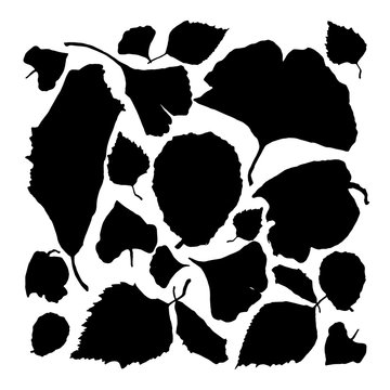 black leaves silhouettes on white background clip art preview