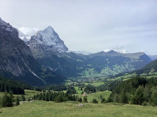 Fototapeta na wymiar mountain landscape in the Alps