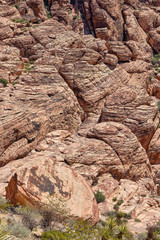 Nevada Desert Red Rocks in the desert