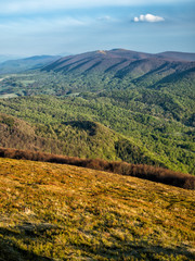 Amazing colours of the mountain meadows in the early spring. Bieszczady National Park. Carpathians. Poland. © Szymon Bartosz