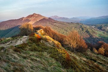 Amazing colours of the mountain meadows in the early spring. Bieszczady National Park. Carpathians. Poland.
