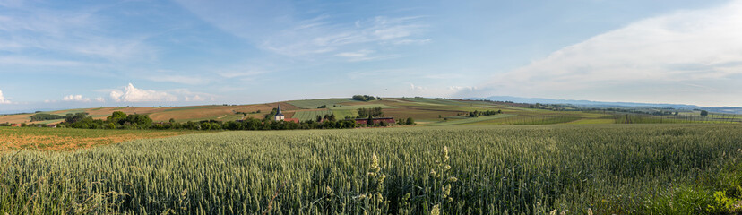 Fototapeta premium French rural panorama in France