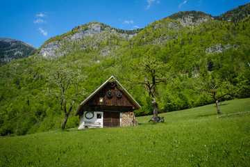 Fototapeta na wymiar Beautiful Voje valley near Bohinj in Slovenia