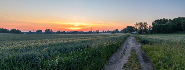 sunrise over the field in Alsace France