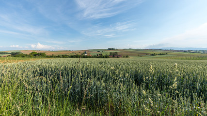 Rural landscape in the French countryside