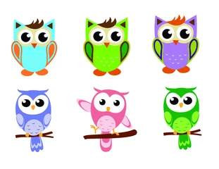 Fotobehang Vector illustration of Set of Owls © Vector  Style