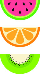 watermelon Orange pieces cartoon vector illustration