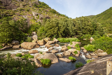 Fototapeta na wymiar Wooden mountain river with stones and trees