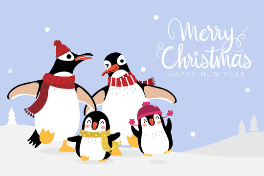 Cute penguin family and baby in winter costume vector. Merry Christmas and happy holidays greeting card. Wildlife animal cartoon character.