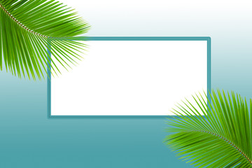 Fototapeta na wymiar Green palm leaf on blue background