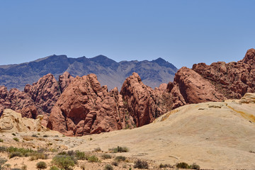 Fototapeta premium Water and weather erosion create patterns in the foreground rocks with the Red Aztec Sandstone in the background