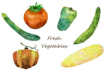 夏野菜水彩画