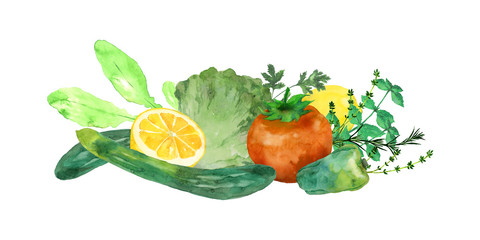 野菜とハーブ水彩画