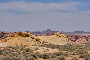 Nevada Desert