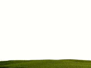 green grass isolated on white - pasto verde con fondo blanco - cesped con fondo blanco. © arqcharles