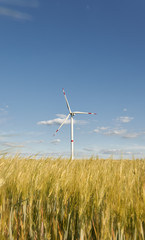 Wind generators turbines on wheat field