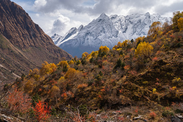 Beautiful autumn season in Manaslu circuit trekking route surrounded by Himalaya mountains range, Nepal
