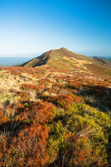 Amazing colours of the mountain meadows in the early spring. Bieszczady National Park. Carpathians. Poland. © Szymon Bartosz
