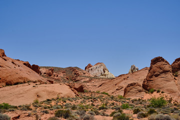 Fototapeta premium Red Aztec Sandstone and other rock formations in the Nevada Desert