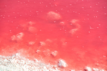 Salty pink lake with with floating salt crystals on the surface. Salt mining industry. Extremely salty pink lake, colored by microalgae with crystalline salt depositions in Torrevieja, Spain, Europe