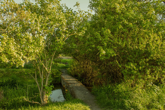 รูปภาพMostek เลือกดูภาพถ่ายสต็อก เวกเตอร์ และวิดีโอ1,495 Adobe Stock