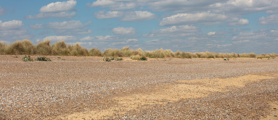 The beach at Sizewell Suffolk