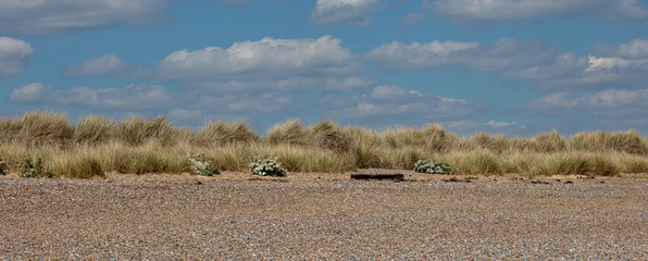 The beach at Sizewell Suffolk