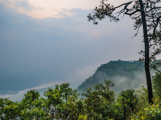 Beautiful sunrise with  sea of mist in the early morning on Phu Kradueng mountain national park in Loei City Thailand.Phu Kradueng mountain national park the famous Travel destination