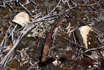 Scape metal on the ground in Tasmania.