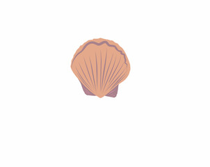 shell vector isolated on white background. Simple illustration in cartoon and flat style 
