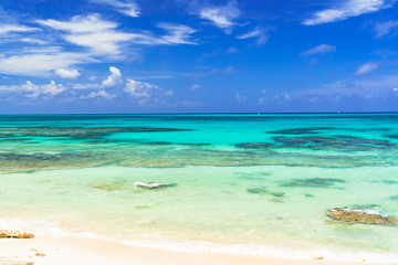 Fototapeta na wymiar 宮古島の美しいサンゴ礁の海