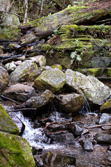 Fototapeta na wymiar View of water running down small rocky stream