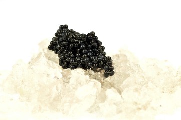 Caviar sur glace pilée en gros plan sur fond blanc