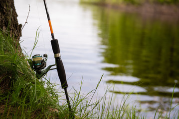 fishing background. spinning leaned against a tree on a summer day around a lot of greenery