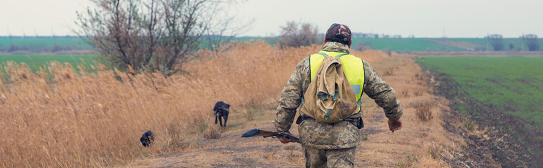 Hunters with a german drathaar and spaniel, pigeon hunting with dogs in reflective vests