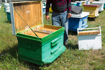 A row of bee hives in a private apiary in the garden. Honey industry.