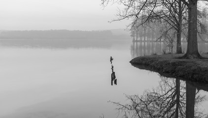 Lago de Soustons (Francia), amanecer invierno