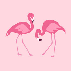 Vector isolated pink flamingos pair. Hand Drawn illustration
