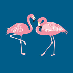 Vector isolated pink flamingos pair. Hand Drawn illustration