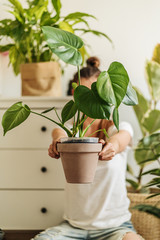 Young woman transplanting plant in ceramic pots on the floor. Concept of home garden. Spring time. Stylish interior with a lot of plants. Taking care of home plants.