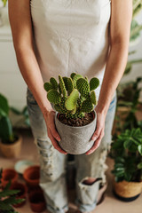 Young woman holding a cactus in a pot. Transplanting flowers at home.