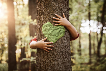 Nature lover, close up of child hands hugging tree with copy space - obrazy, fototapety, plakaty