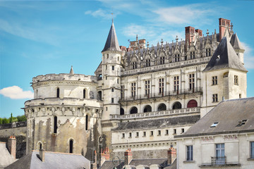 Fototapeta na wymiar Vista del chateau de Amboise