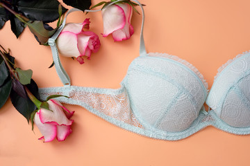 Light green bra with roses on a beige background. Bra with lace and flowers top view. The concept of a romantic gift for your beloved woman, beautiful lingerie sales season