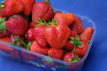 Red big strawberries in a plastic container close-up. Strawberry berries on a blue background. Vegetarian food, berry diet, strawberry season.