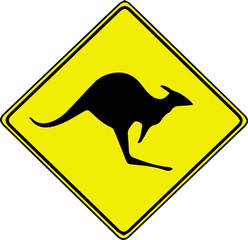 kangaroo crossing road drive carefully