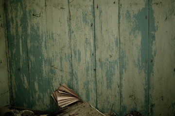 Chernobyl / Ukraine. Chernobyl exclusion zone. Ruins of abandoned places. Zone of high radioactivity. Ruins of buildings. 