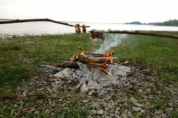 Roasting bacon on a stick in nature