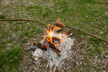 Roasting bacon on a stick in nature