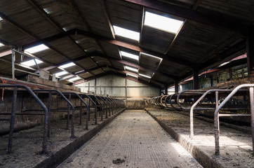 An empty cattle feeding shed. No animals due to food production problems caused by the worldwide...